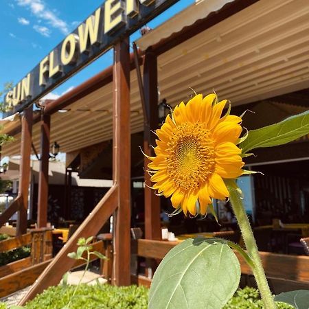 Sun Flower Apart Hotel 시데 외부 사진