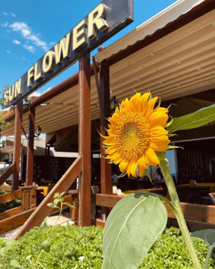 Sun Flower Apart Hotel 시데 외부 사진